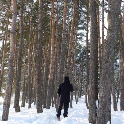 Abant🌲