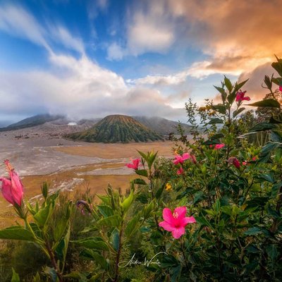 Seruni Point Bromo