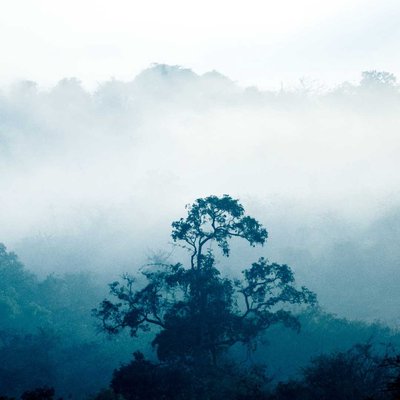 the foggy one