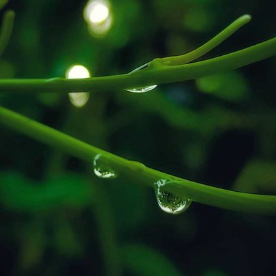water drop