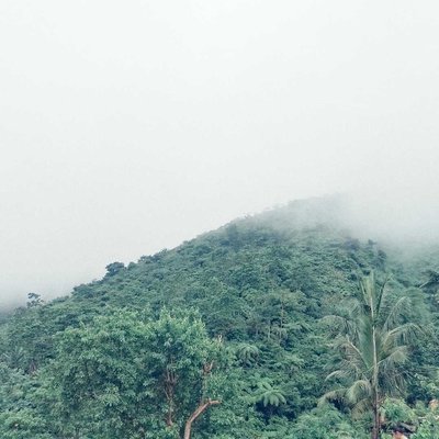 🍃⛰