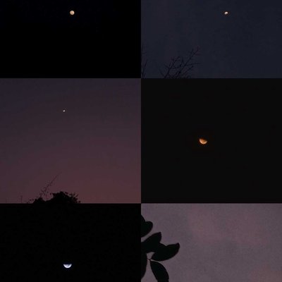 Selenophile 🌙🤍