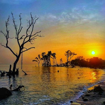 SUNRISE 