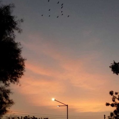 beautiful evening