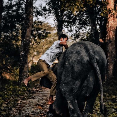 Let's go for a ride