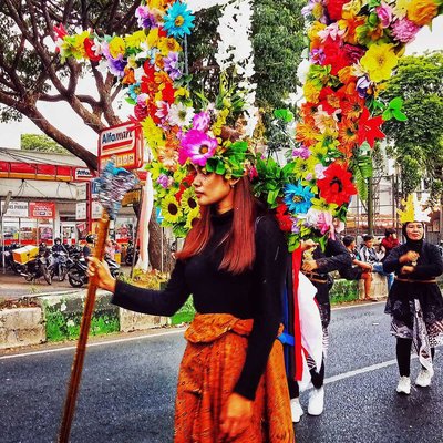 Natural Material Carnival Costume 