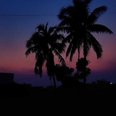 Silhouette Shot ✨ 🌙