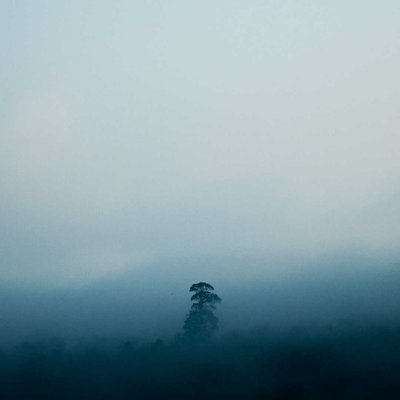 alone