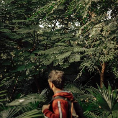 Finding tropical vibes 
