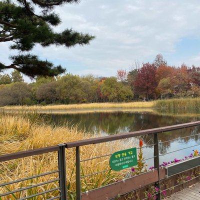 Central Park of Seoul 🫶🏼🤍