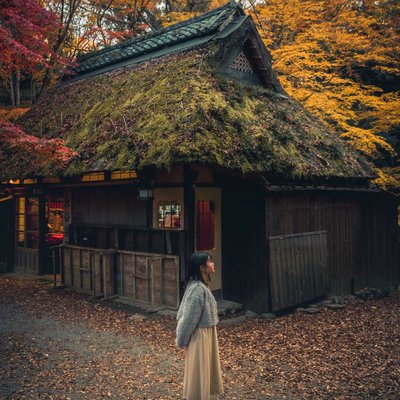 autumn vibes