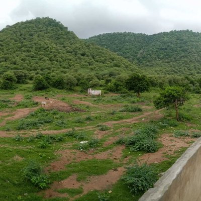 morning view Alwar
