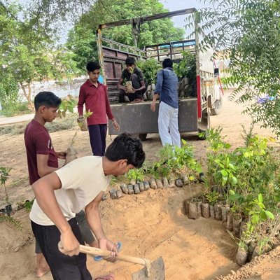 plantetion 
