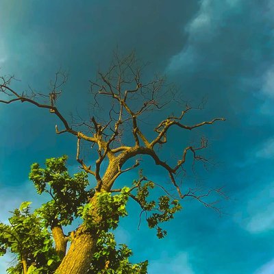 Summer to Monsoon 