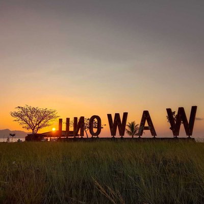 Wawonii
