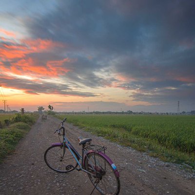 Gowes2 