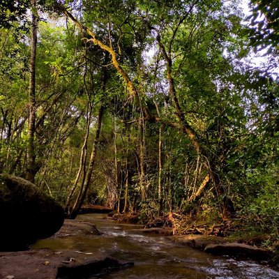 Reserva Natural 