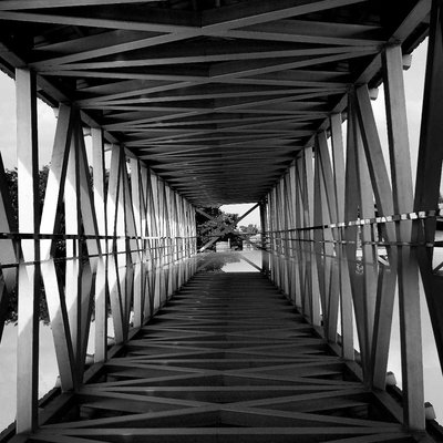 reflection 