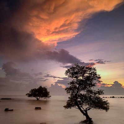 Pantai Pohon Jomblo PALANG