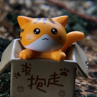 Toy Photography 