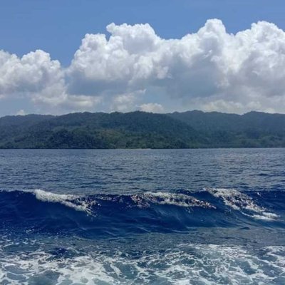 Laut