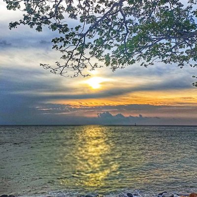 Sunsets 