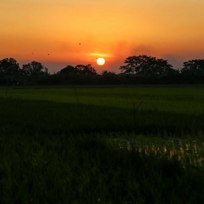 sunset 