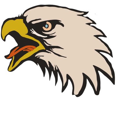 eagle 🦅
