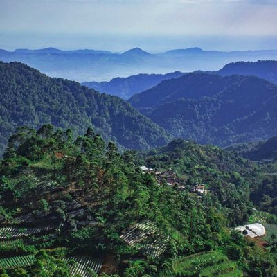 The Peak of Eurad