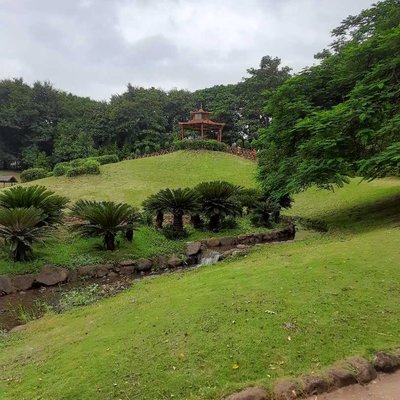 Friendship garden 