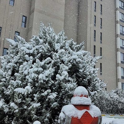 Karlı Günlerden 🌨️