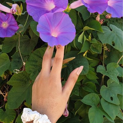 lilac