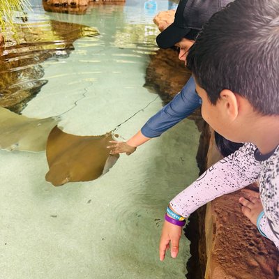 Stingrays 👀😮‍💨