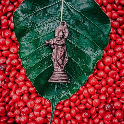 sree krishna 