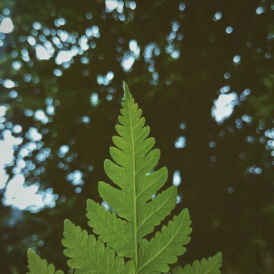 💚