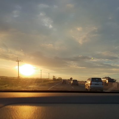 Into The Sun 💛