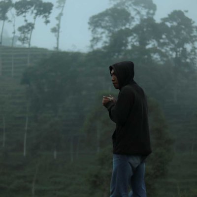 pagilaran tea garden