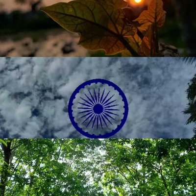 Indian Flag Colour 🇮🇳