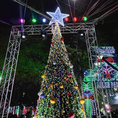 CHRISTMAS TREE🎄
