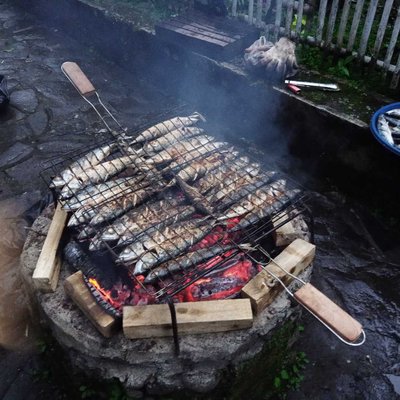 Tuna Grilled Fish (Seafood)