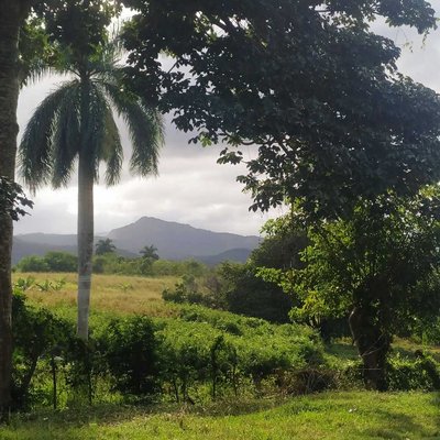 Campos de Cuba