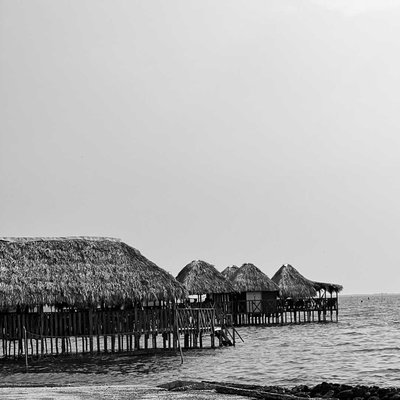 Shelter