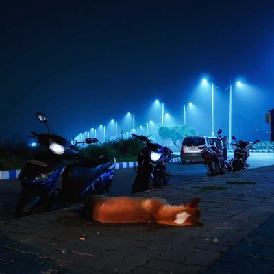 Winter's sleep