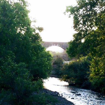 beautiful nature
