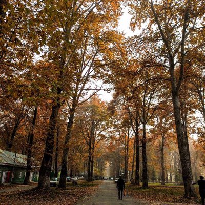 Autumn🍁vibes