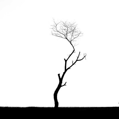 Minimalist