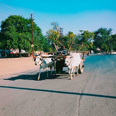 Rural rajasthan 
