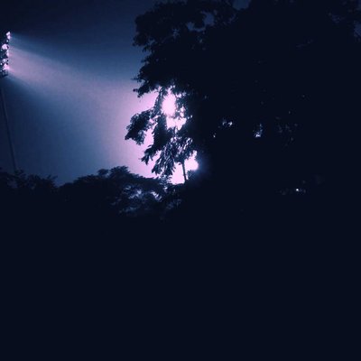 Lights in the Darkness