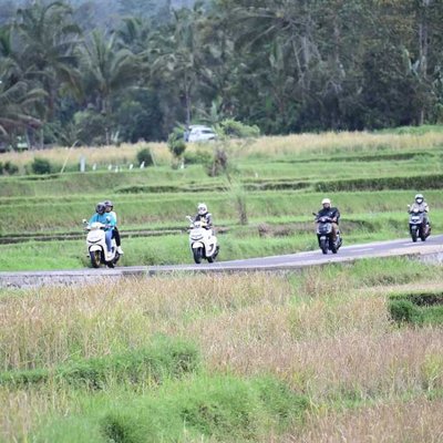 Gass
