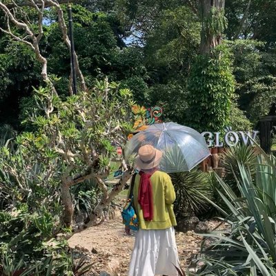 Kebun Raya Bogor 